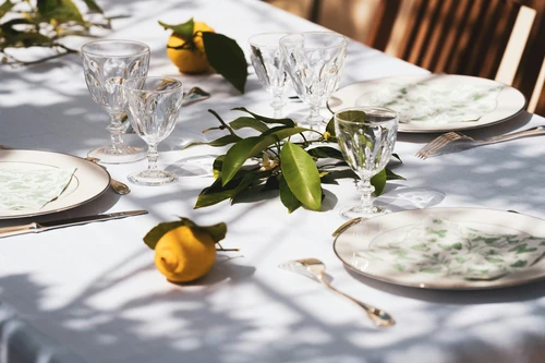 Barbecue servies