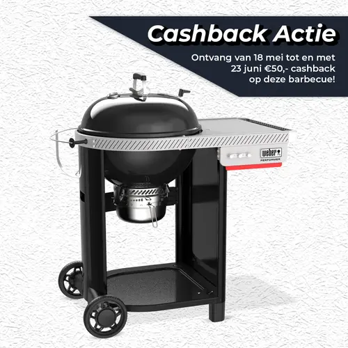 Houtskool bbq performer 57cm
