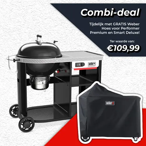 Houtskool bbq performer premium smart 57