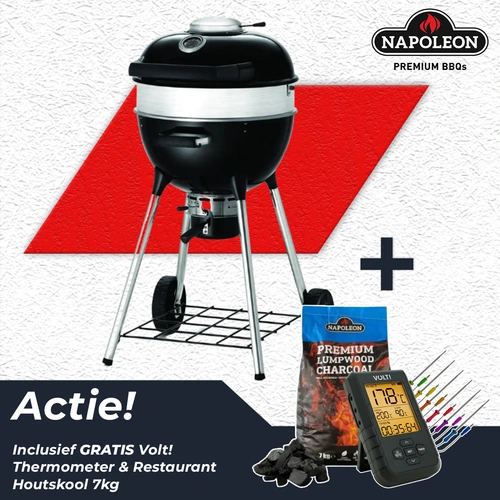 Napoleon Charcoal Pro PRO18K-LEG-3 (Ø 47 cm)