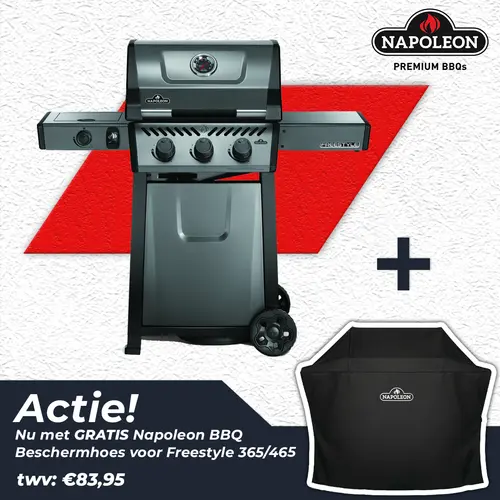 Napoleon Freestyle™ 365 SB Grafietgrijs