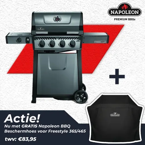 Napoleon Freestyle™ 425 SB Grafietgrijs