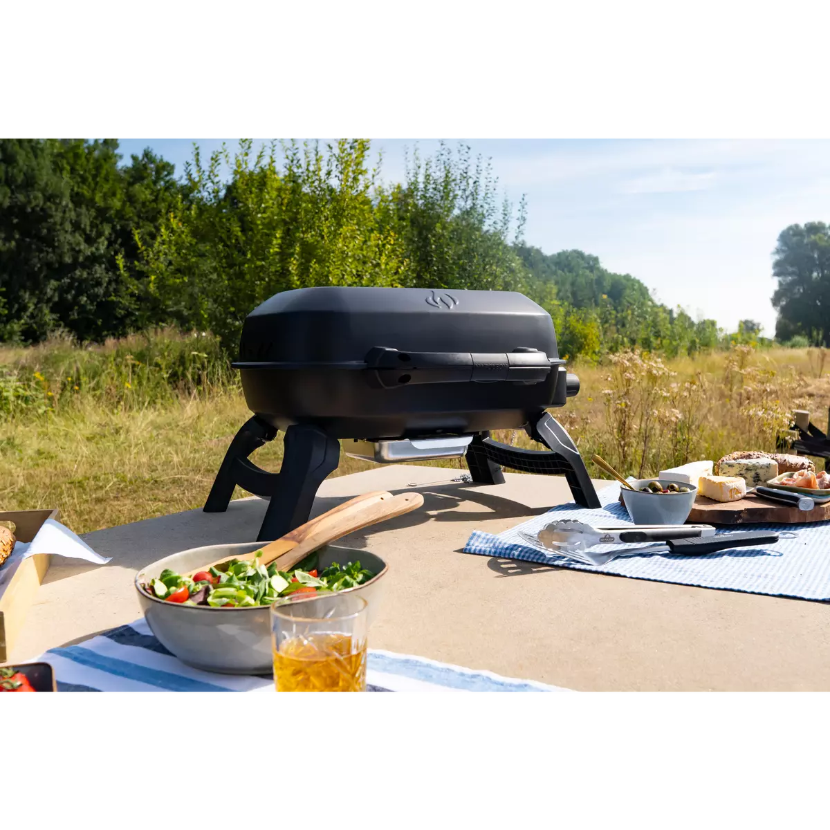 Napoleon TravelQ™ 240 Draagbare Gasbarbecue sfeer, Napoleon, BBQkopen