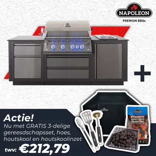 OASIS™ 105 Compact Inbouwbarbecue 700 Serie 32 actie, Napoleon, BBQkopen