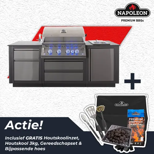 OASIS™ 105 Compact Inbouwbarbecue 700 Serie 32 actie, Napoleon, BBQkopen