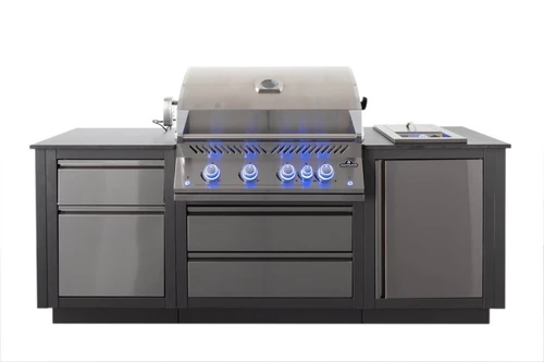 OASIS™ 105 Compact Inbouwbarbecue 700 Serie 32, Napoleon, BBQkopen