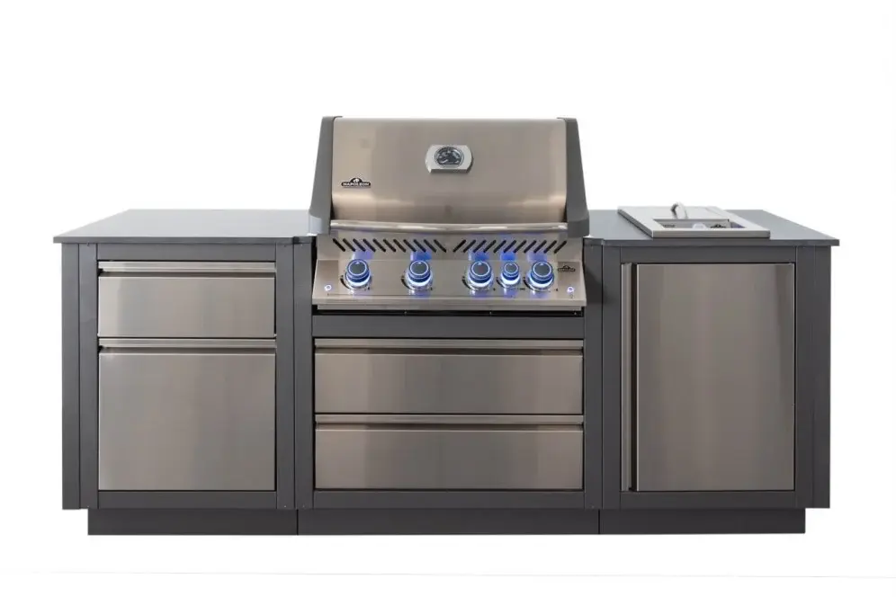 OASIS™ Compact Inbouwbarbecue Prestige® 500, Napoleon, BBQkopen