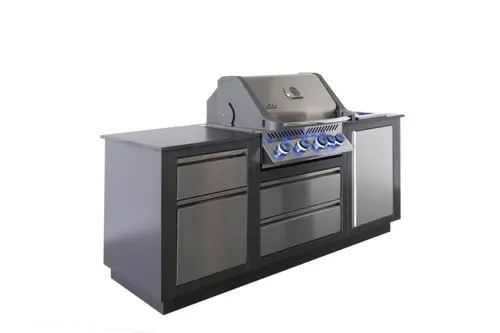 OASIS™ Compact Inbouwbarbecue Prestige® 500 schuin, Napoleon, BBQkopen