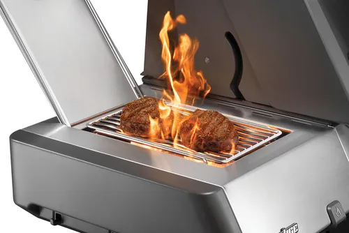 Prestige 500, zwart ,Napoleon, Tuincentrumoutlet