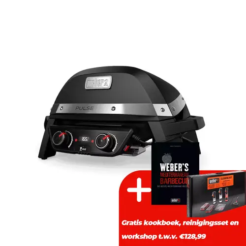 Weber Pulse 2000 - afbeelding 1
