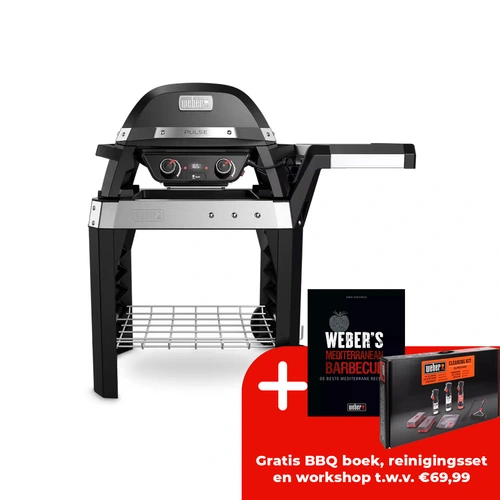 Weber Pulse 2000 met Stand