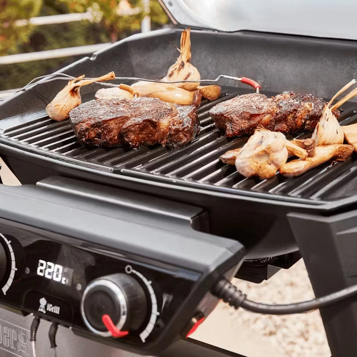 Weber Pulse 2000 met Stand, Weber, BBQkopen
