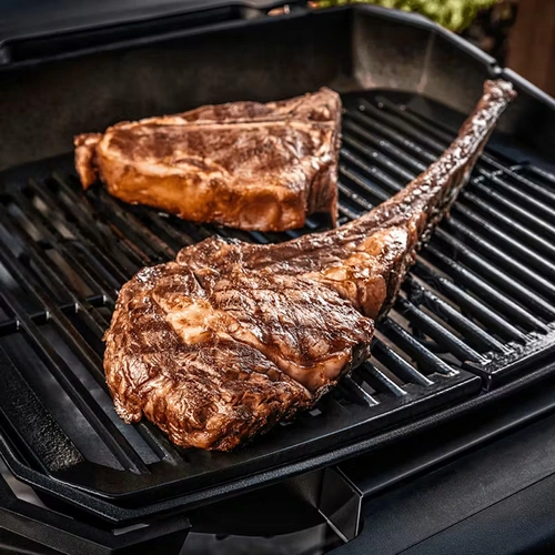 Weber Pulse 2000 met Stand, Weber, BBQkopen