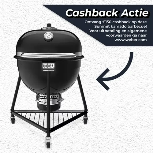 Weber Summit kamado e6