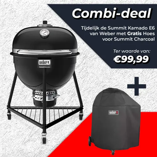 Weber Summit kamado e6